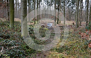 Metal shopping cart stands forgotten in the woods. the customer bought, drove to the spruce forest park. Buy a piece of forest, na