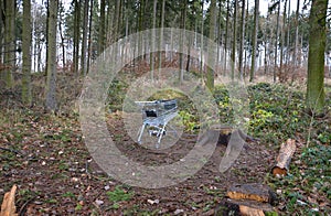 Metal shopping cart stands forgotten in the woods. the customer bought, drove to the spruce forest park. Buy a piece of forest, na