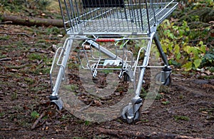 Metal shopping cart stands forgotten in the woods. the customer bought, drove to the spruce forest park. Buy a piece of forest, na