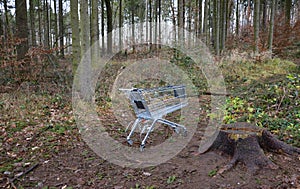 Metal shopping cart stands forgotten in the woods. the customer bought, drove to the spruce forest park. Buy a piece of forest, na