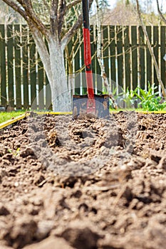 Metal shovel in the ground in the seedbed.