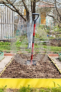 Metal shovel in the ground in the seedbed.