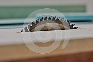 Metal silver circular saw blades for wood work as industrial tool background. Table saw cutting Wood , Circular saw blade for wood