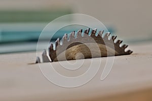 Metal silver circular saw blades for wood work as industrial tool background. Table saw cutting Wood , Circular saw blade for wood