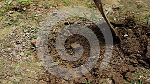 A metal spade digging soil