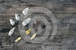 Metal spinners in the shape of a spoon of different colors for catching a predator on a vintage wooden background