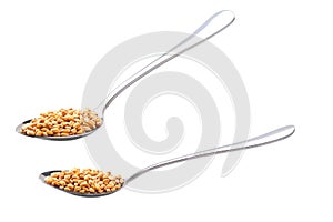 Metal spoon with organic wheats isolated on white background