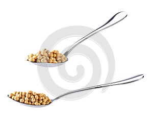 metal spoon with soybeans isolated on white background