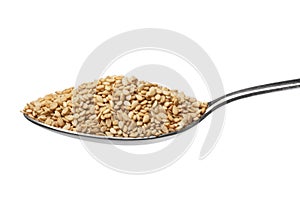 Metal spoon with white sesame seed close up on white background