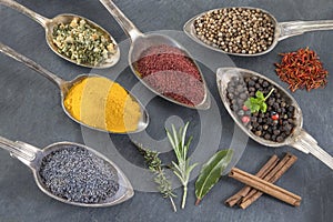 Metal spoons with various ground spices on slate background photo