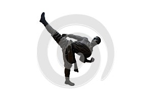 Metal statue of Shaolin martial arts. Shaolin Kung Fu isolated on white background with clipping path.