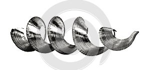 Metal Swarf on white