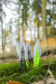 metal throwing knives set in green moss on pine forest background.Outdoor sports.Throwing knives.Throwing projectiles