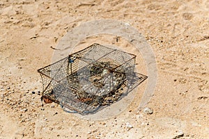 Metal trap for catching crabs on the sandy beach, traditional mining