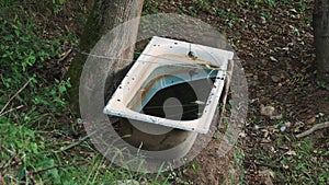 A metal trough in the forest filled with water for animals. The Alps in the summer.