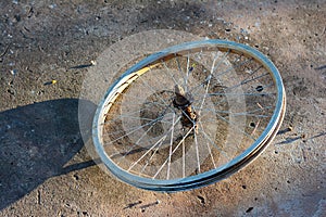 The metal wheel of the old bicycle with shadow on cement ground