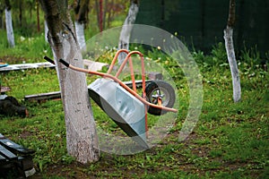 Metal wheelbarrow on a tree in a rural courtyard on a rainy day