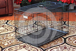 Metal Wire Dog Crate