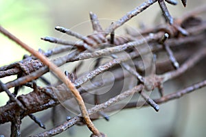 Metal wire mesh isolated on the black background