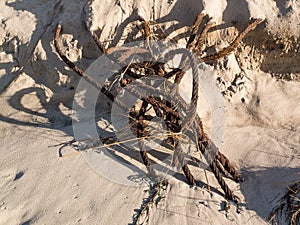 Metal wire on sandy beach