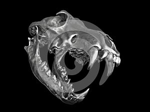Metal wolf skull with jaws open