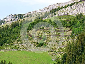 Metal and wooden structures for protection against avalanches on Mount Matthorn in the Pilatus mountain massif, Alpnach