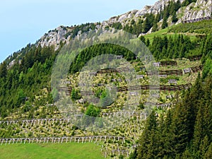 Metal and wooden structures for protection against avalanches on Mount Matthorn in the Pilatus mountain massif, Alpnach