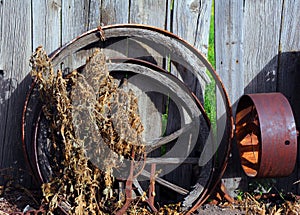 Metal and Wooden Wagon Wheel