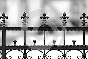 Metal wrought iron fence