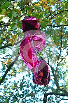 Metallic balloon stuck in a tree