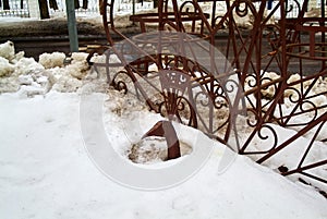 Metallic bird figure in the snow
