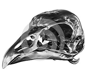 Metallic Bird Skull