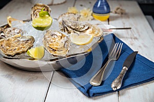 Metallic bowl with fresh appetizing oysters with ice and lemon