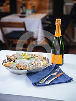 Metallic bowl with fresh appetizing oysters with ice and lemon with champagne