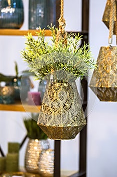 Metallic bronze hanging flower pot with decorative flower. Hanging beautiful flower pot with green plant