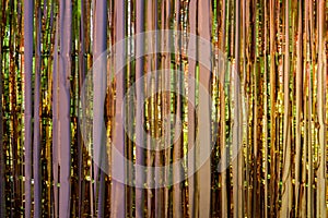 Metallic foil fringe party decoration reflecting colorful lights.