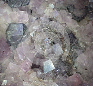 Metallic galena crystal among light purple fluorite