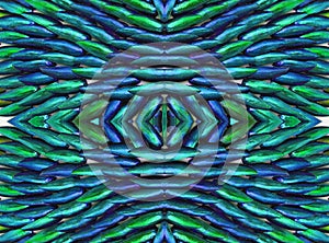 Metallic green and blue color texture of jewel beetle wings for design, art. Unusual pattern, original background. photo