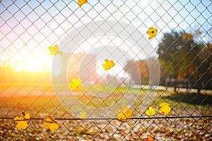 Metallic net-shaped fence from wire with autumn leaf stucked in it on a background of blur city