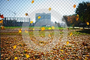Metallic net-shaped fence from wire with autumn leaf stucked in it on a background of blur city