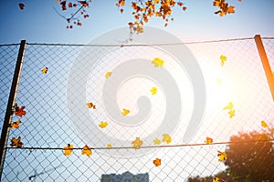 Metallic net-shaped fence from wire with autumn leaf stucked in it on a background of blur city