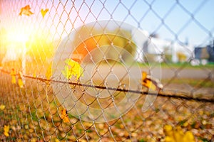 Metallic net-shaped fence from wire with autumn leaf stucked in it on a background of blur city