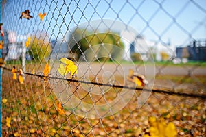 Metallic net-shaped fence from wire with autumn leaf stucked in it on a background of blur city