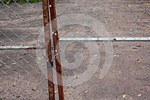A metallic padlock and chain lock at fence door