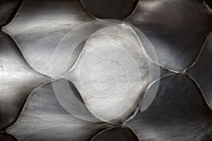 Metallic scales background