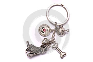 A metallic silver dog doggie design key chain white backdrop