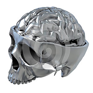 Metallic Skull