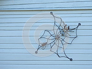 Metallic spider net, spider and fly photo