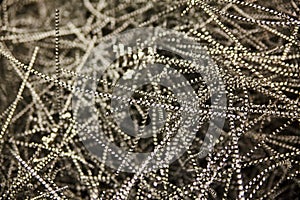 Metallic Spiral Textures in Monochrome - Industrial Close-up photo