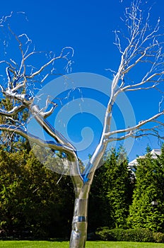 Metallic structure of a winter tree under blue sky photo